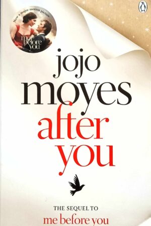 After You (Me Before You #2)
