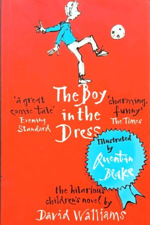 The Boy in the Dress