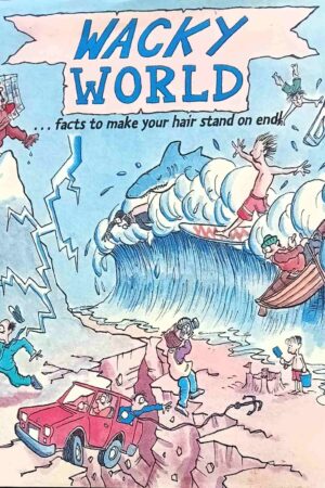 Wacky World (Hardcover)