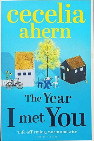 The Year I Met You